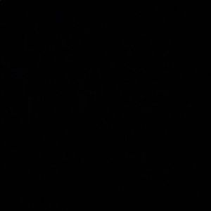 Meet your Posher, Juli